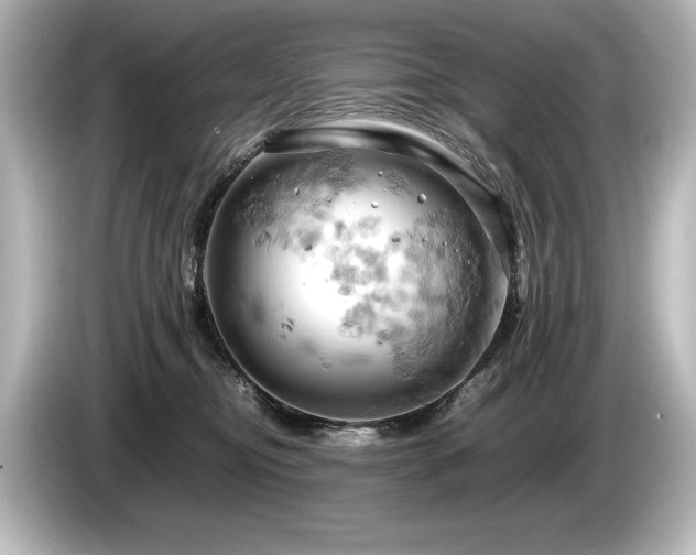 X0000085750374200703161100