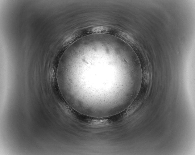 X0000085750375200703161100