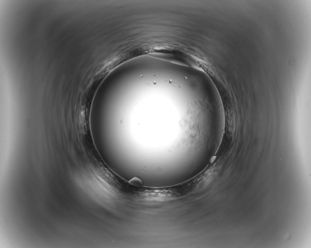 X0000085750378200703161100