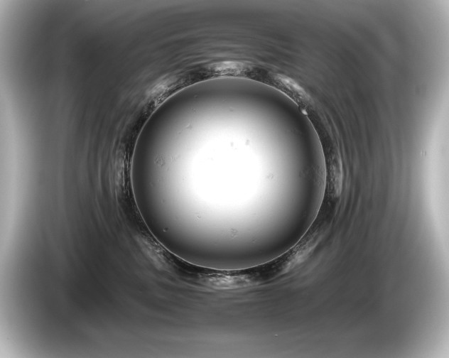 X0000085750379200703161100