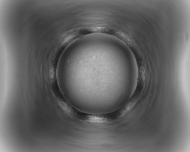 X0000085750380200703161100