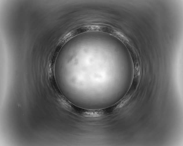 X0000085750381200703161100