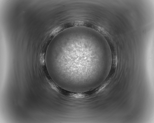 X0000085750383200703161100