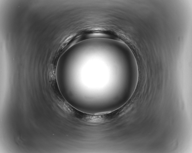 X0000085750384200703161100
