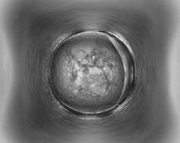 X0000085750385200703161059
