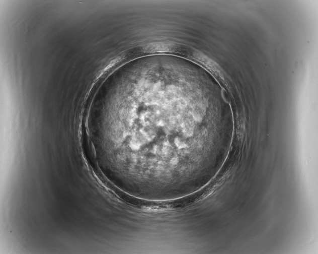 X0000085750386200703161059