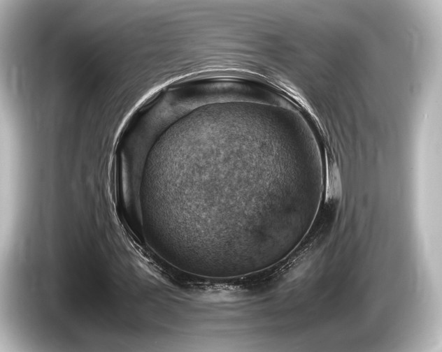 X0000085750387200703161059