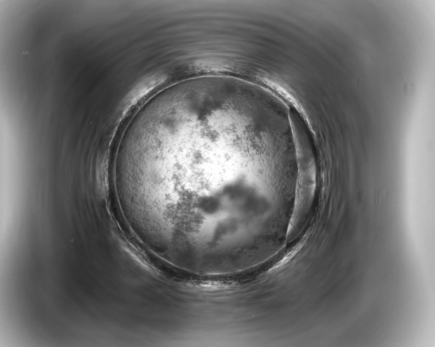 X0000085750390200703161059