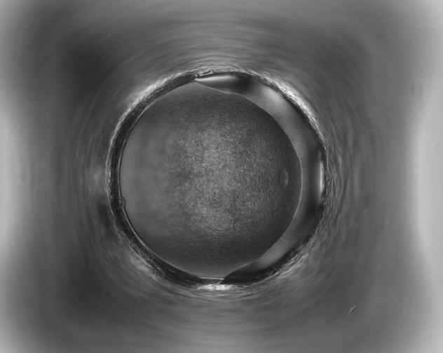 X0000085750391200703161059