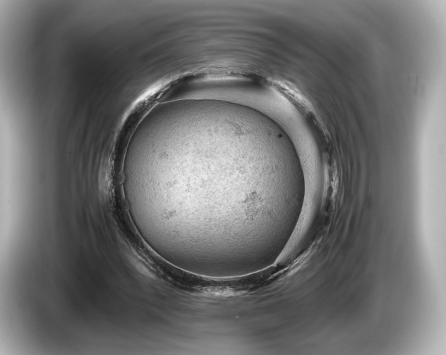 X0000085750392200703161059