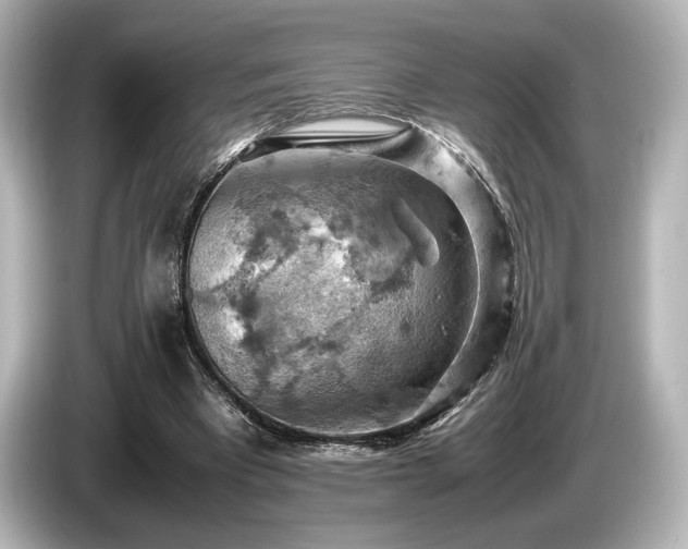 X0000085750393200703161059