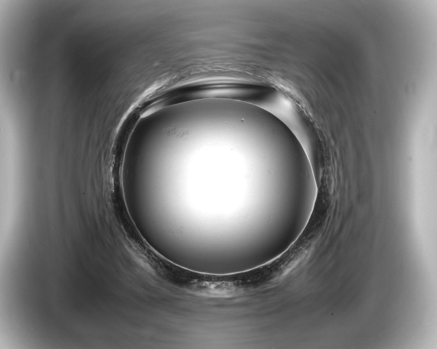 X0000085750395200703161059