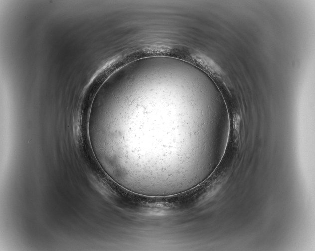 X0000085750396200703161059