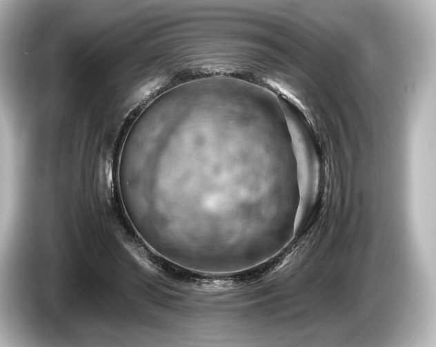 X0000085750398200703161059