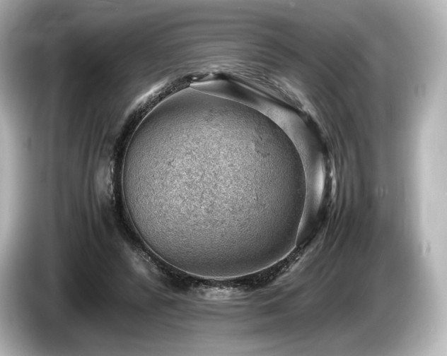X0000085750400200703161059