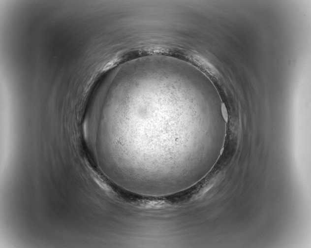 X0000085750401200703161059