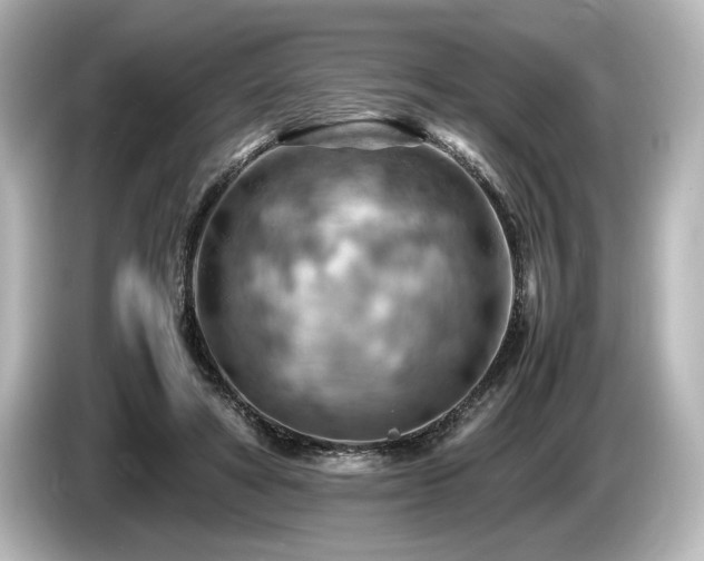 X0000085750402200703161059