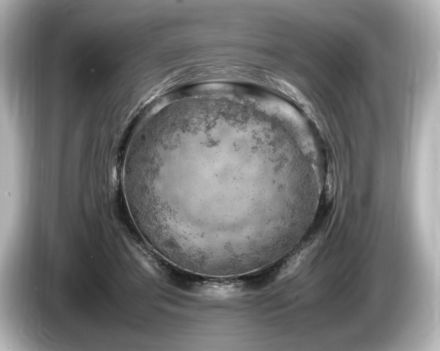 X0000085750405200703161059