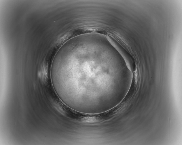 X0000085750406200703161059