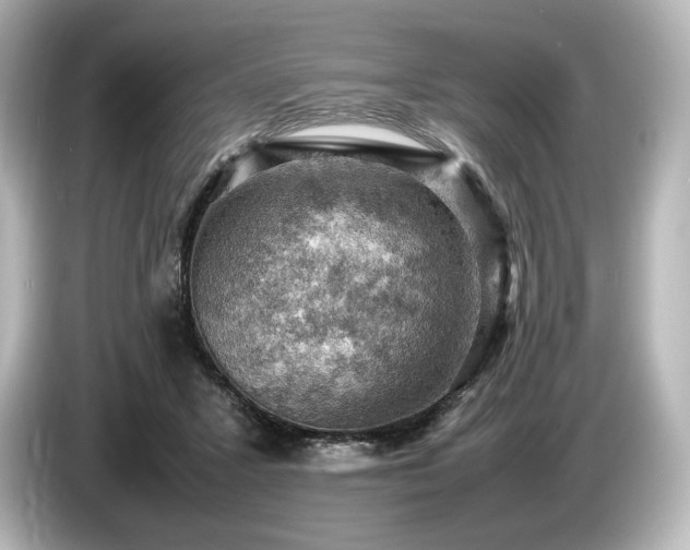 X0000085750407200703161059