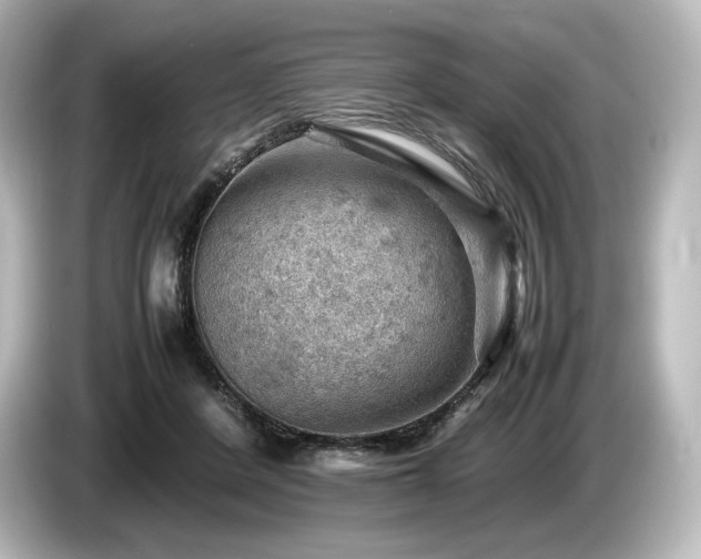 X0000085750408200703161059