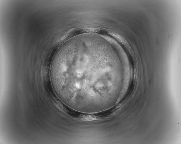 X0000085750409200703161059