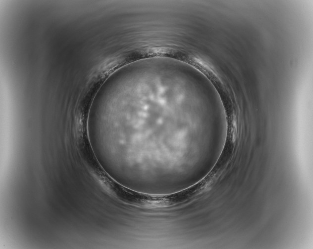 X0000085750410200703161059