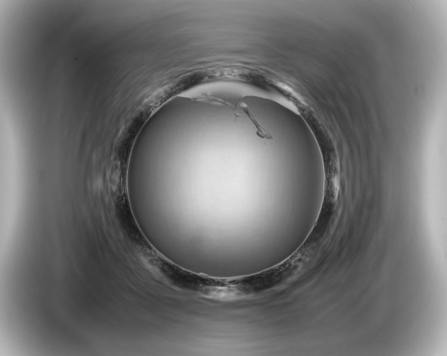 X0000085750411200703161059