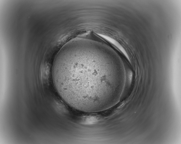 X0000085750412200703161059