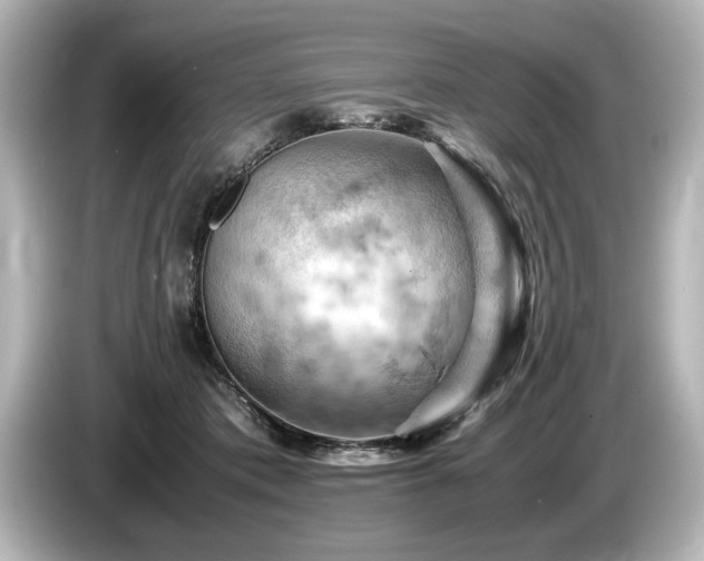 X0000085750413200703161059