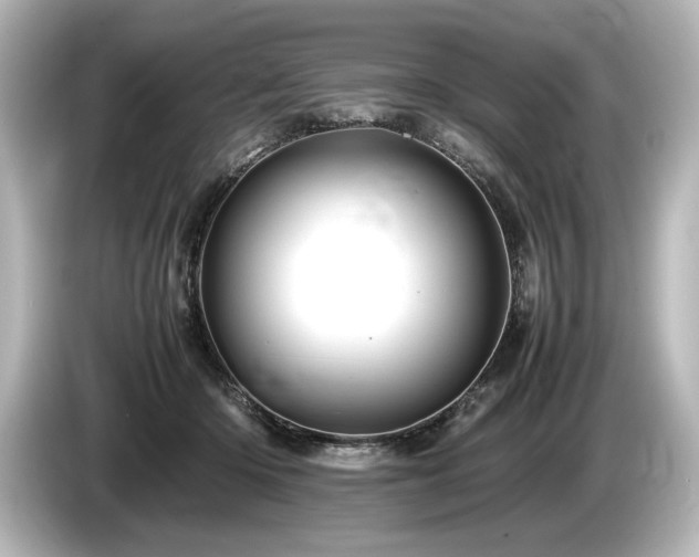X0000085750414200703161059