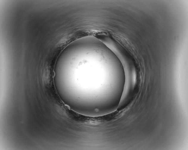 X0000085750416200703161059