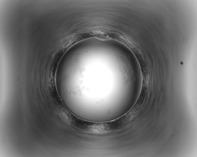 X0000085750418200703161059