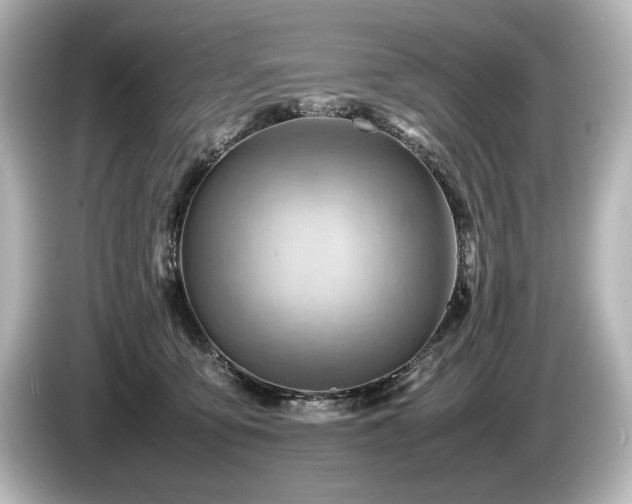 X0000085750419200703161059
