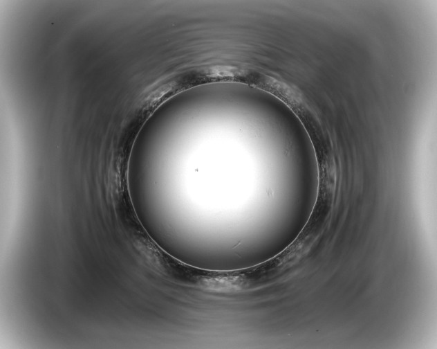 X0000085750422200703161059