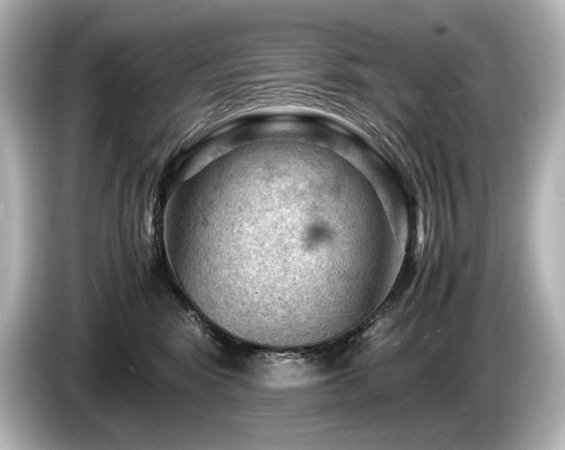 X0000085750424200703161059