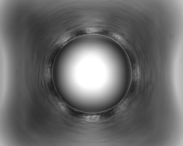 X0000085750426200703161059