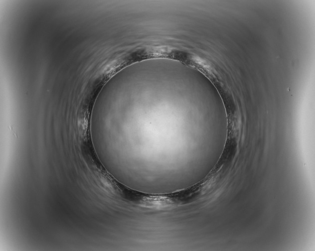 X0000085750427200703161059