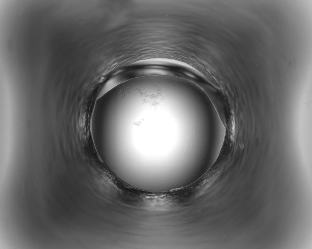 X0000085750428200703161059
