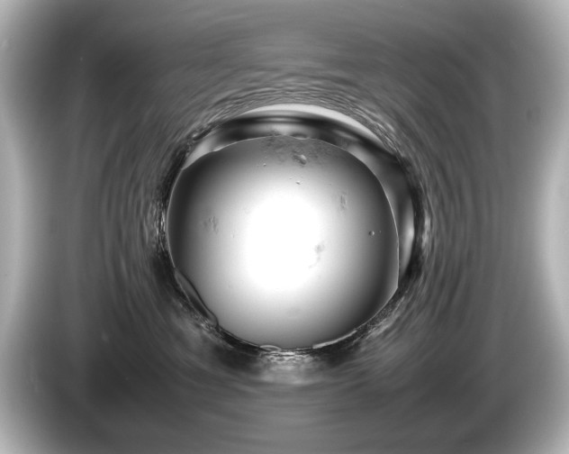 X0000085750429200703161059