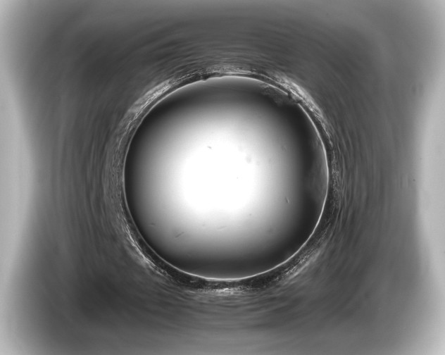 X0000085750433200703161058