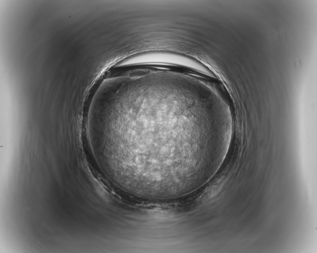 X0000085750434200703161058