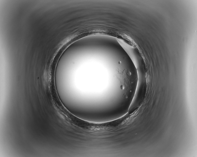 X0000085750435200703161058
