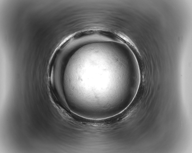 X0000085750436200703161058