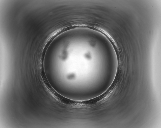 X0000085750437200703161058
