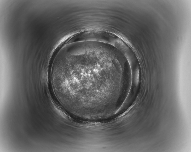 X0000085750438200703161058