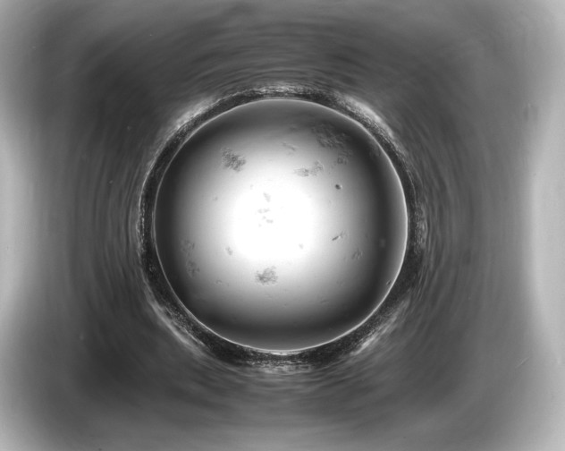 X0000085750439200703161058
