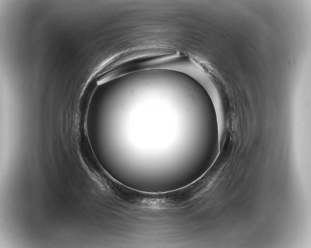 X0000085750440200703161058