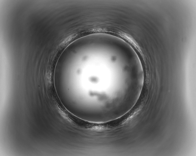 X0000085750441200703161058