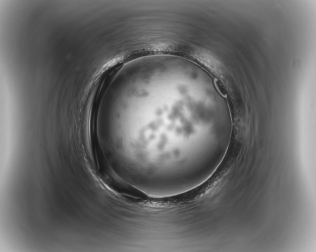 X0000085750442200703161058